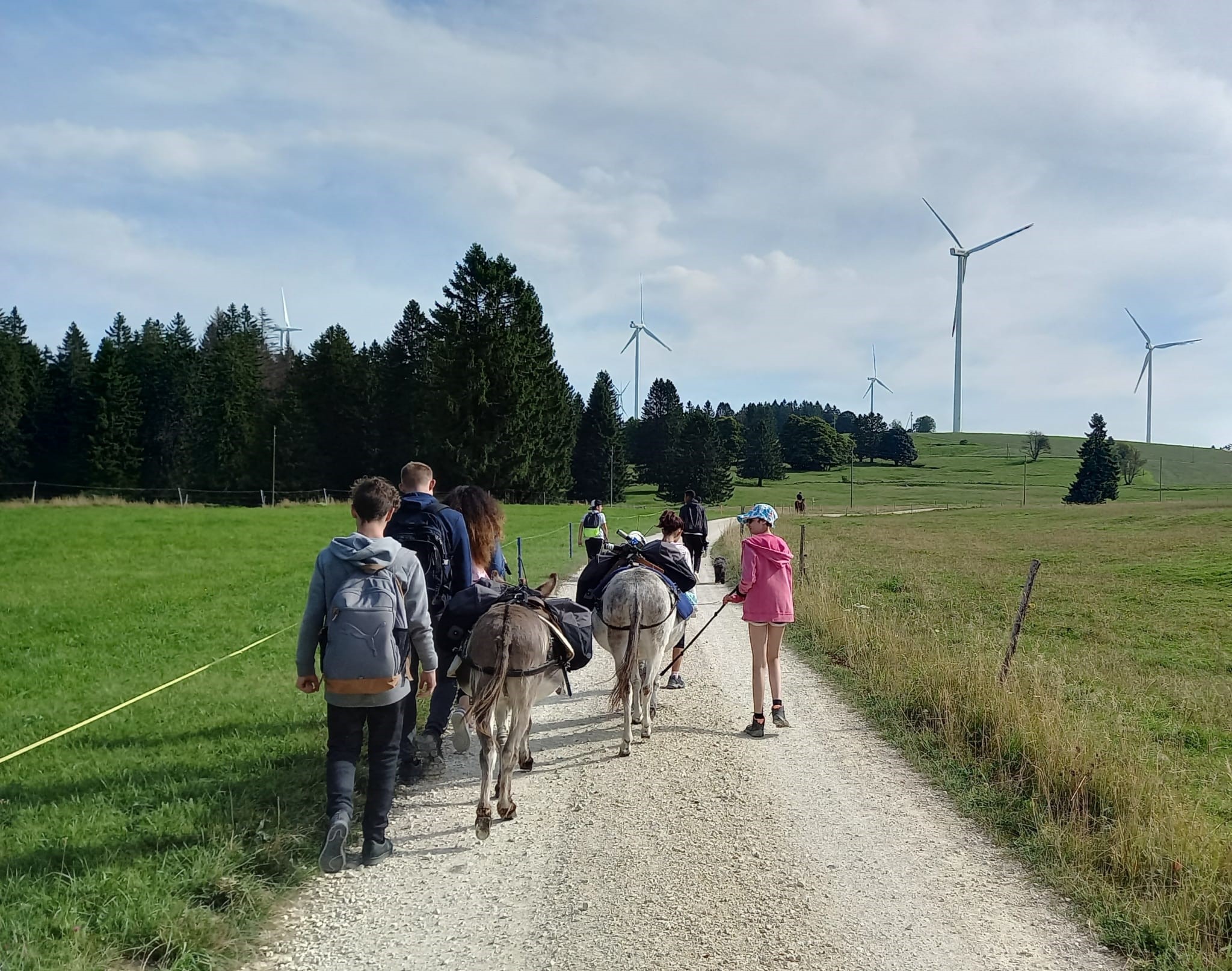 Randonnée avec des ânes et visite d’une éolienne